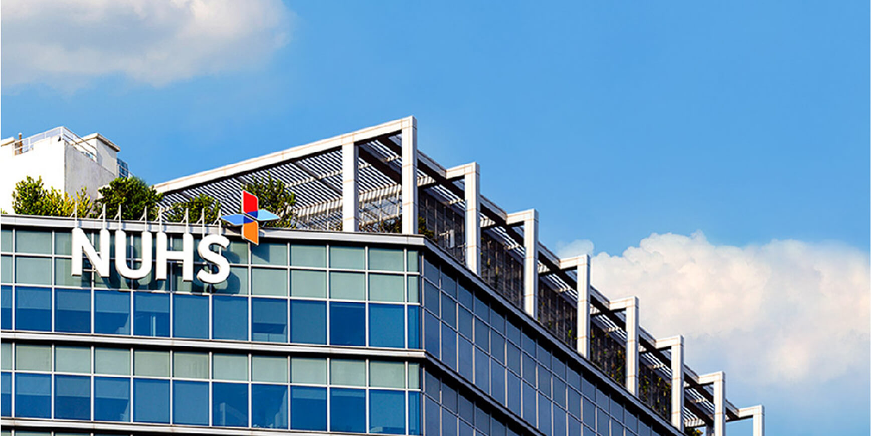 NUH Global Consultancy Overview