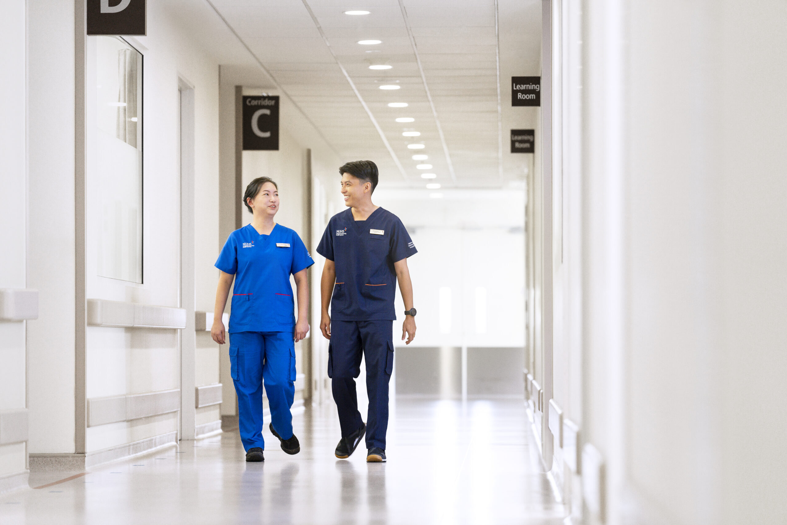 Module 1<br>Healthcare Structure And Governance